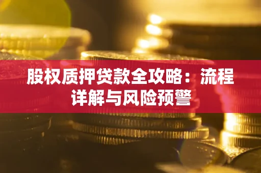 北京股权质押贷款全攻略：流程详解与风险预警