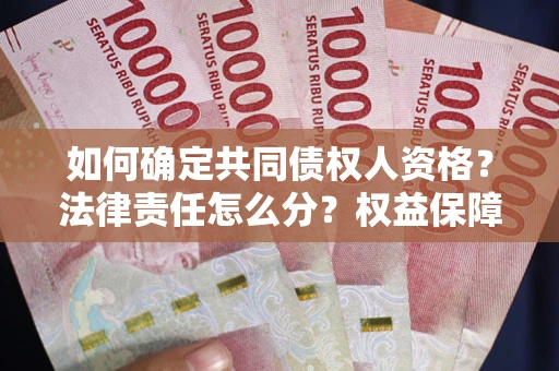 北京如何确定共同债权人资格？法律责任怎么分？权益保障技巧揭秘！