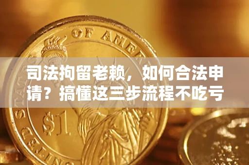 北京司法拘留老赖，如何合法申请？搞懂这三步流程不吃亏！