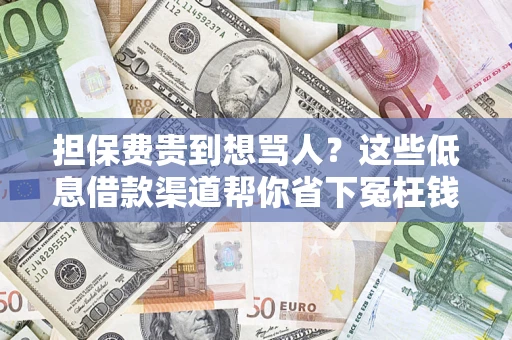 北京担保费贵到想骂人？这些低息借款渠道帮你省下冤枉钱
