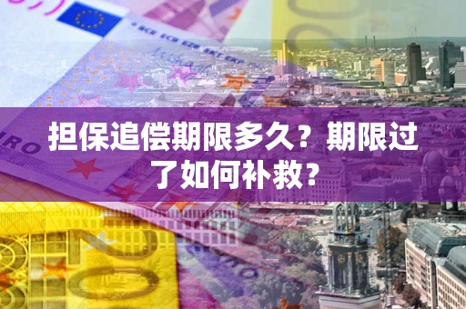 北京担保追偿期限多久？期限过了如何补救？